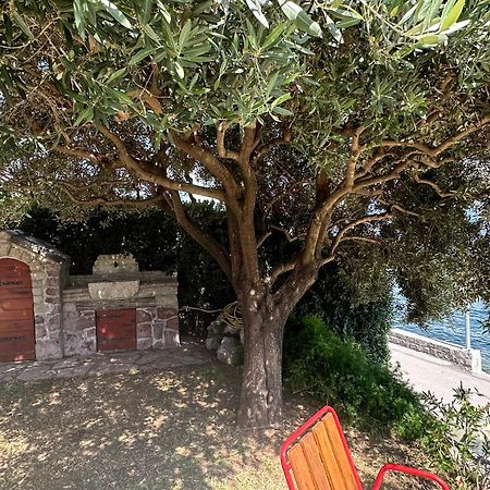 Vila Jadranka Apartments Herceg Novi Zewnętrze zdjęcie