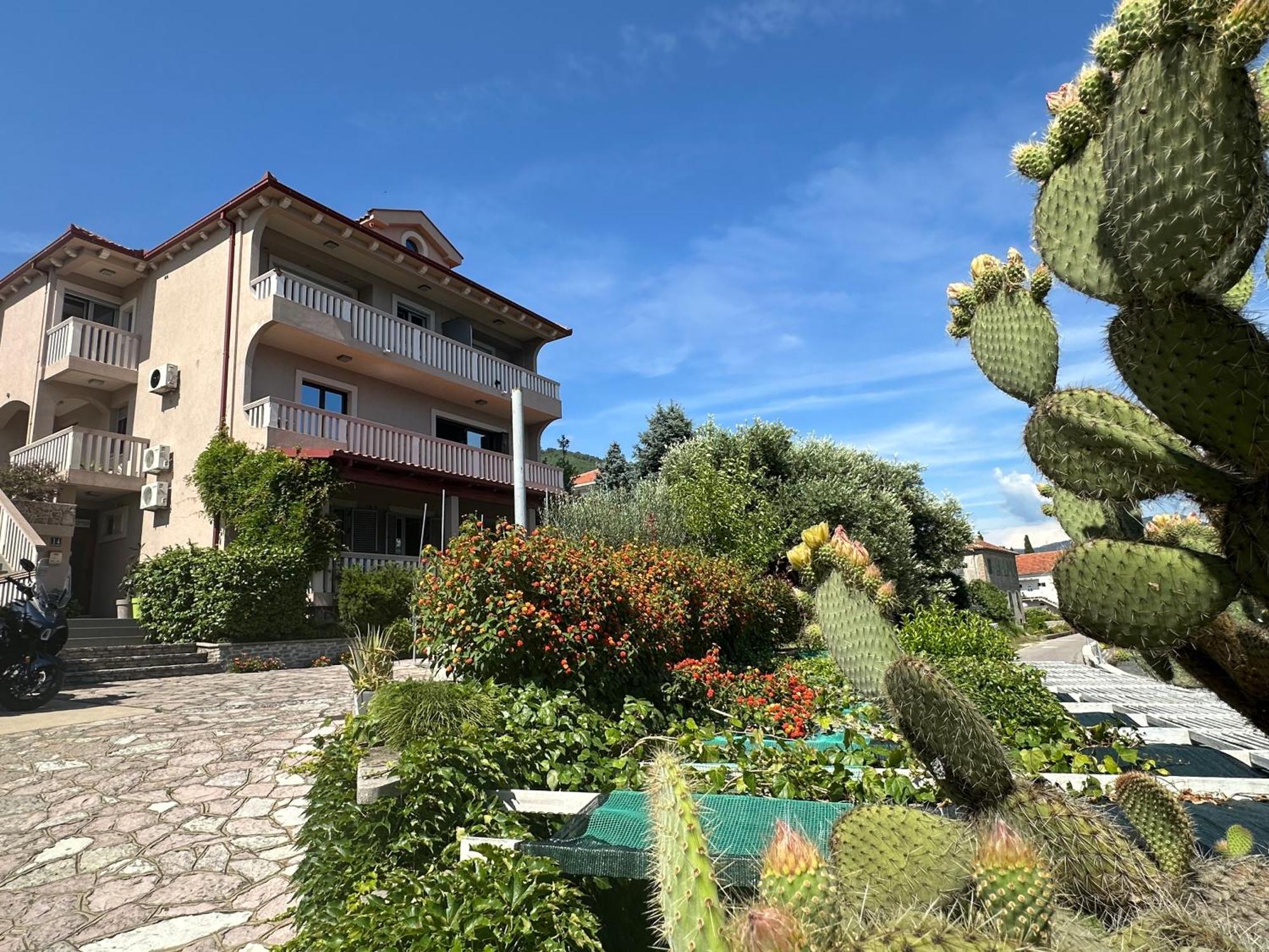 Vila Jadranka Apartments Herceg Novi Zewnętrze zdjęcie
